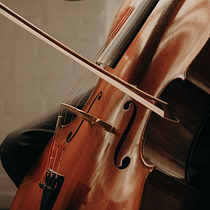 La inseguridad en un cello. Creativit, Writing, Narrative, Stor, telling, and Creative Writing project by Daniela Oviedo - 05.03.2026