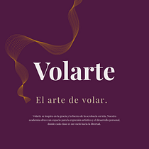 Volarte . Br, ing e Identidade, Teoria da cor, Design, Gestão de design, Design digital, Design editorial, Design gráfico, Design de logotipo, Tipografia, e Desenho tipográfico projeto de temistoclesdenichu - 15.05.2026
