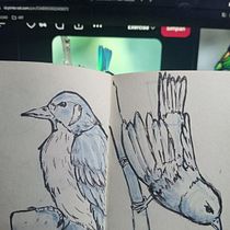 Bird. Sketching, Creativit, Drawing, Traditional illustration, and Sketchbook project by Eka Suci Puspitaningrum - 05.16.2026