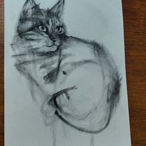 Cat Charcoal . Arte plastice, Desen, Desen de portret & Ilustrație naturalistă de dornroeschen - 05.17.2026