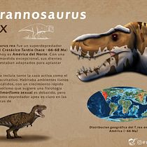 Infografia Tyrannosaurus. Desenho realista, Ilustração tradicional, Ilustração digital, Ilustração naturalista, Design gráfico, Desenho, e Design editorial projeto de carlos_machado199 - 22.05.2026