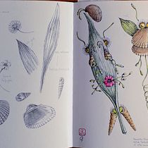 Concherba in viaggio verso non si sa dove. Pencil Drawing, Drawing, Watercolor Painting, Sketchbook, and Naturalistic Illustration project by Claudia Foroni - 05.24.2026