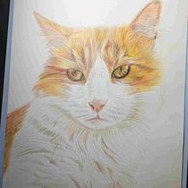 Desenho do Ed. Traditional illustration project by kellenataide - 05.27.2026