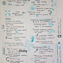 Notas conferencia. Un projet de Business, Communication, Créativité, Dessin et Illustration traditionnelle de tataacevedo - 08.06.2026