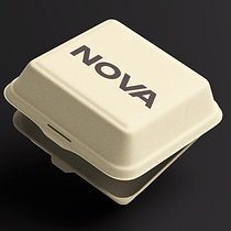 Nova. Br, ing, Identit, Design, Logo Design, and Graphic Design project by Azhar Ryskhan - 06.08.2026