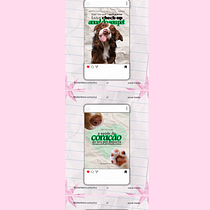 Social Media Para uma veterinária. Br, ing, Identit, Color Theor, Design, Design Management, Digital Design, Editorial Design, Graphic Design, Logo Design, T, pograph, T, pograph, and Design project by juliarscunha - 06.11.2026