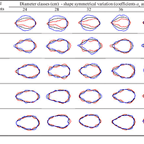 EFD Particle Shape Classifier: Clasificación morfométrica dual de partículas mediante descriptores de Fourier elípticos y redes convolucionales 1D Ein Projekt aus dem Bereich Webentwicklung, Programmierung, Künstliche Intelligenz und KI-Programmierung von anibal montenegro - 16.06.2026