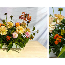 MININAS PROYECT. Decoration, DIY, Floral, Plant Design, Interior Design, L, and scape Architecture project by Medaly Anabel Delgado Mundaca - 06.18.2026