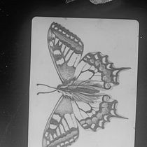 Tatuaje mariposa Ein Projekt aus dem Bereich Tattoodesign von eva13 - 18.06.2026