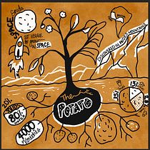 Facts on Potatoes . Communication, Creative Consulting, Creativit, Drawing, H, Lettering, Traditional illustration, Lettering, and Portfolio Development project by kmuchigi - 06.26.2026
