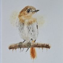 Palawan Flycatcher. Watercolor Painting, Realistic Drawing, and Naturalistic Illustration project by sonoran_gal - 06.27.2026