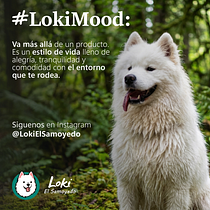 #LokiMood. Advertising, Marketing, Copywriting, Creativity, and Content Writing project by Christian Ardila - 07.03.2026