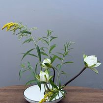 Ikebana arrangement. Floral, and Plant Design project by Mel - 07.09.2026