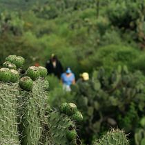 El cerro de Cubitos. Photography, Photography Post-production, Outdoor Photography, and Documentary Photography project by marcosguevararivera - 07.11.2026