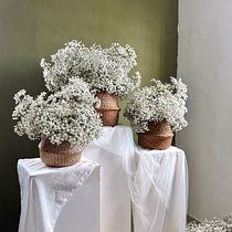 Sage Dreaming . Een project van Interieurdecoratie, Interieur, DIY y Bloem- en plantenschikken van fantasyflowersbyglenn - 12.07.2026