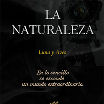 La Naturaleza - Luna y Aves. Branding, Identity, Graphic Design, Web Design, and Social Media Design project by Abby Fdez - 07.25.2026