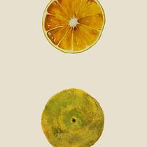 naranja a mitad . Traditional illustration, Fine Arts, Painting, Drawing, Watercolor Painting, and Botanical Illustration project by isabetru - 07.27.2026