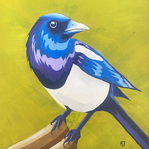 Indigo Magpie. Traditional illustration, and Drawing project by emilia_jendrusik - 07.27.2026