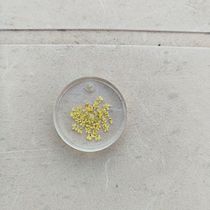 Bloom in Resin. Accessory Design, Arts, Crafts, Jewelry Design, and DIY project by lulopesdemiranda - 07.27.2026