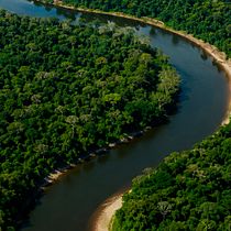 La madera que se va sin permiso: el negocio que devora la Amazonía peruana. Photography project by ayrton_gonzalesa - 07.28.2026