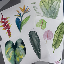 Plantas Tropicais. Un progetto di Illustrazione tradizionale e Disegno di Natália Sporch - 30.07.2026
