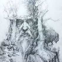 Spirit of the Forest. Fine Arts, Sketching, Pencil Drawing, Drawing, and Realistic Drawing project by yulart52 - 07.31.2026