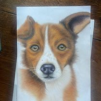 Rocky Ein Projekt aus dem Bereich Traditionelle Illustration und Naturalistische Illustration von bodmod_manu - 11.08.2026