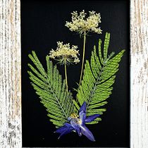 "In aeternum siccus". Artesanato, Artes plásticas, Colagem, DIY, e Design floral e vegetal projeto de Teresa Giró Castellet - 13.08.2026