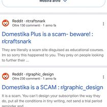 Domestika Plus: The Unexpected €300 Charge. Un proyecto de Programación y Desarrollo Web de Nerea Carbone - 14.08.2026