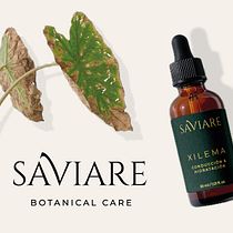 SAVIARE. Branding, Identity, Graphic Design, and Logo Design project by catuvidalb - 08.14.2026