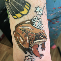 Color Gap-Filler Tattoo (Wood Frog) . Un projet de Illustration traditionnelle, Dessin et Illustration numérique de elandis27 - 01.09.2026