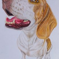 PROYECTO PERRITO ANDY. Ilustração tradicional, e Desenho projeto de Enrique Medellín Rojas - 14.09.2026