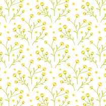 Chamomile Inspired Floral Pattern. Arts, Crafts, Graphic Design, Drawing, Digital Illustration, and Textile Design project by Aisha S. - 09.19.2026