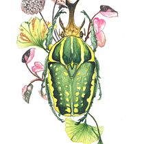 Module Practice: Naturalistic Beetle & Botanical Illustration. Un projet de Illustration traditionnelle, Beaux Arts, Peinture, Esquisse , Dessin, Aquarelle, Illustration botanique, Carnet de croquis et Illustration naturaliste de Feyza hale de groot - 21.09.2026