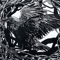 Un cuervo. Un proyecto de Ilustración tradicional, Artesanía, Bellas Artes, Estampación e Ilustración con tinta de ananogueraspuri - 22.09.2026