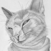 La Gatita Julieta . % Enrique Medellín Rojas tarafından hazırlanan Geleneksel illüstrasyon, Kalem Çizimi, Çizim, Ve Doğalcı İllüstrasyon projesi - 09.22.2026