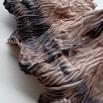 Shibori com tingimento de casca de Manacá da Serra Ein Projekt aus dem Bereich Handwerk, Schmuckdesign, Modedesign, Weben, Textilfärbung und Textildesign von Walter Alves - 23.09.2026