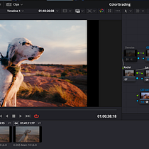 Color Grading. Un progetto di Fotografia di Marcin Biadała - 23.09.2026