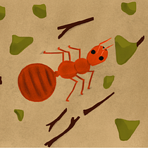 Abstracción Orgánica: Collage de Formas e Insectos. Un proyecto de Dibujo e Ilustración digital de BRIDYS diaz - 01.10.2026