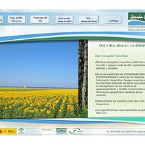 GDR La Janda – Disco Multimedia . % JuanFra Martinez Borges tarafından hazırlanan Tasarım, Ve Web Tasarımı projesi - 11.10.2014