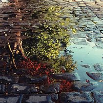 FOTOGRAFIA. Een project van Fotografie van Laura Márquez - 27.09.2015