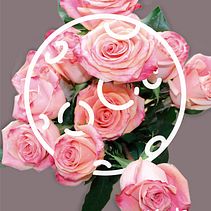 Interflora. Art Direction, Graphic Design, Marketing, and Advertising project by Sandra Freitas Silva - 08.28.2016