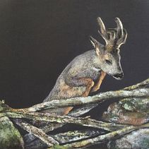 Trabajo a pastel (44x63cm), 2016. Patricia Miranda. Een project van  Beeldende kunst van Patricia Miranda Lebredo - 08.03.2017