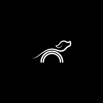 ARCOIRIS PETS // Logotype development. . Design grafic de Dani Caldevilla - 04.01.2017