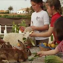 Fuente Redonda corporativo. Film, Video, TV, Advertising, and Video project by Graciela Polo - 04.02.2012