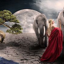 Live Nature. Un projet de Design  , et Photographie de Paola B - 10.12.2017