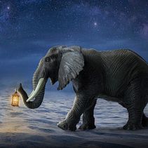 Camino a casa. Un proyecto de Fotografía de Erick Miranda - 01.05.2018