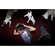 lluvia de gatos  . % Mauro Chiconetl tarafından hazırlanan Fotoğrafçılık projesi - 05.20.2018