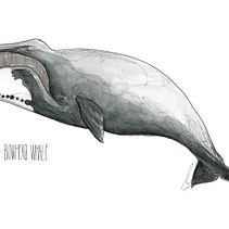 Dueñas del mar Ein Projekt aus dem Bereich Bildende Künste von María Periñan Leon - 22.08.2018