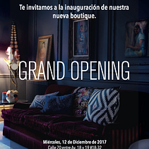 DIcon - Design boutique Ein Projekt aus dem Bereich Grafikdesign von Natacha Auvert - 23.08.2018